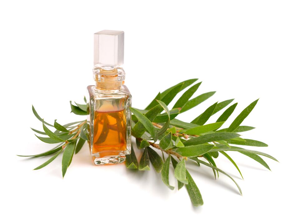 O aceite da árbore do té como parte do xel de Hondroine